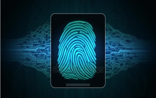 中国指纹识别芯片崛起,芯片价格逐渐廉价
